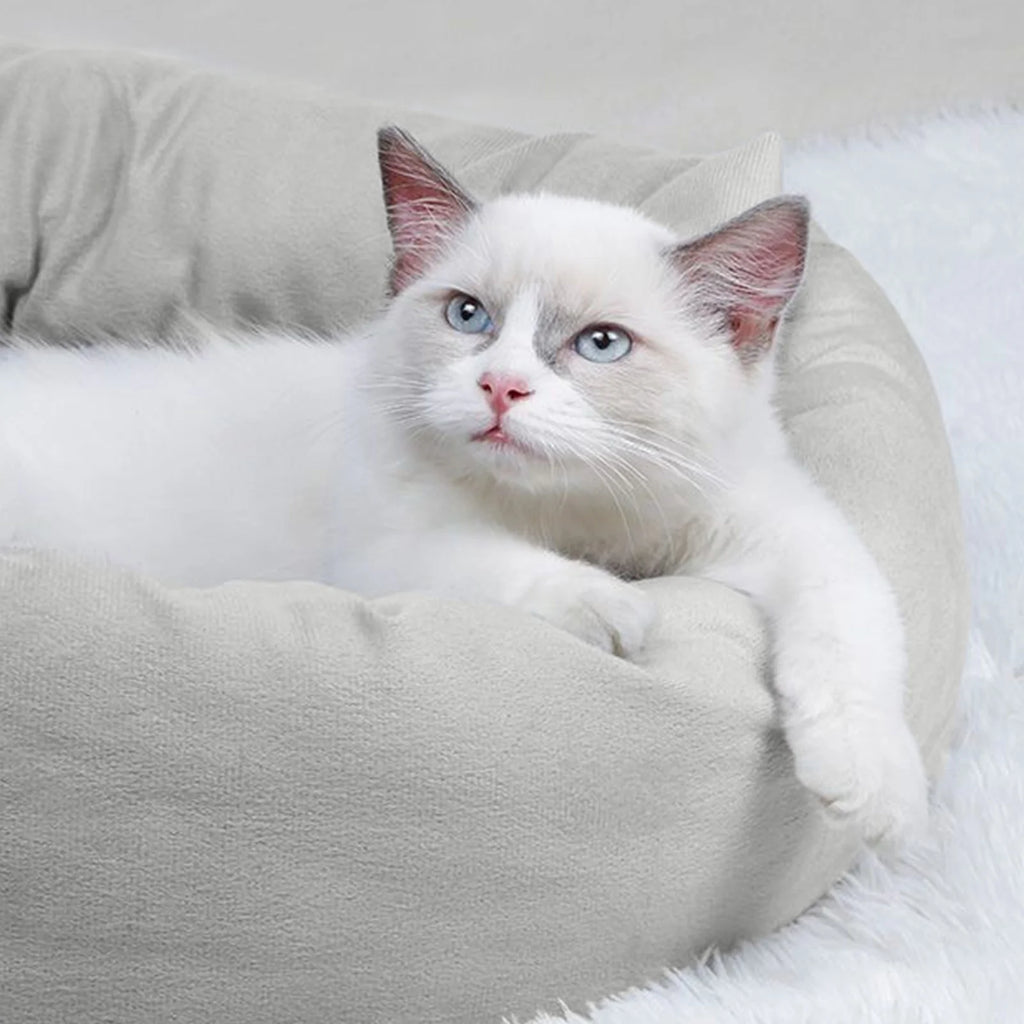 round Donut Cat and Dog Cushion Bed, Pet Bed for Medium or Large Dogs, Soft Durable Fabric Pet Beds, Washable Calming Cat & Dog Bed