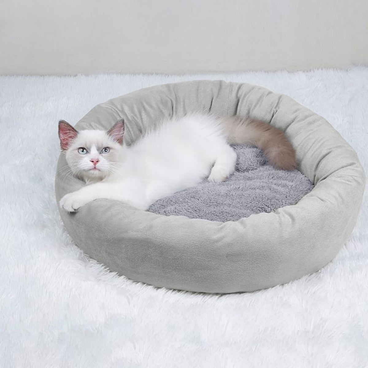 round Donut Cat and Dog Cushion Bed, Pet Bed for Medium or Large Dogs, Soft Durable Fabric Pet Beds, Washable Calming Cat & Dog Bed
